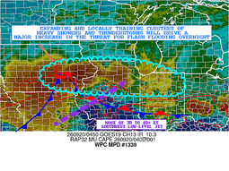WPC MPD #1339